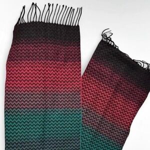 Gorgeous Multi-Color Scarf